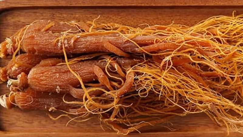 Nhân Sâm Đỏ – Món quà dược liệu trân quý của đất trời